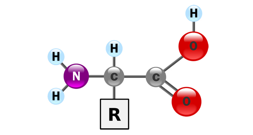 ساختار اسیدهای آمینه